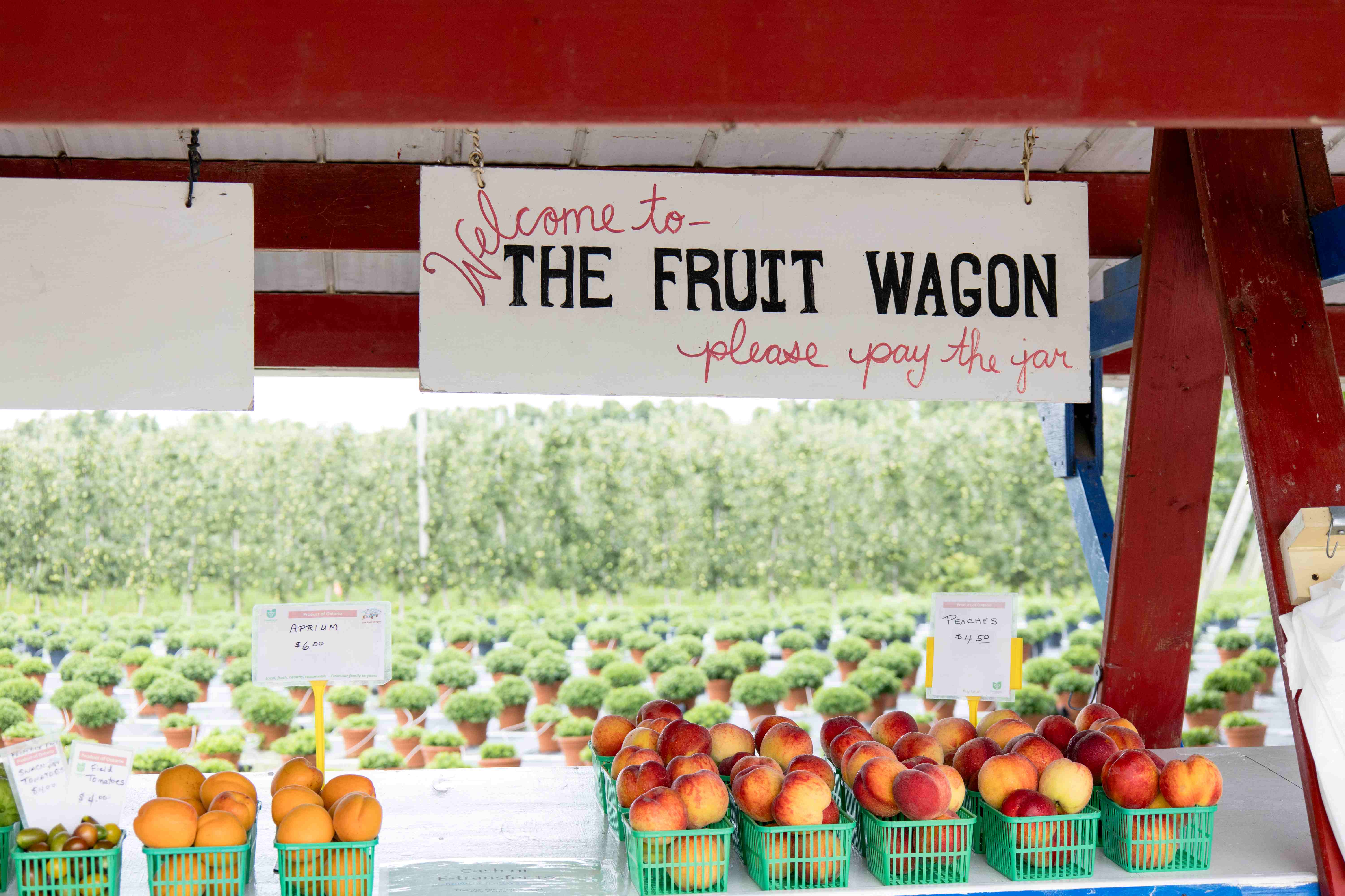Signage for The Fruit Wagon