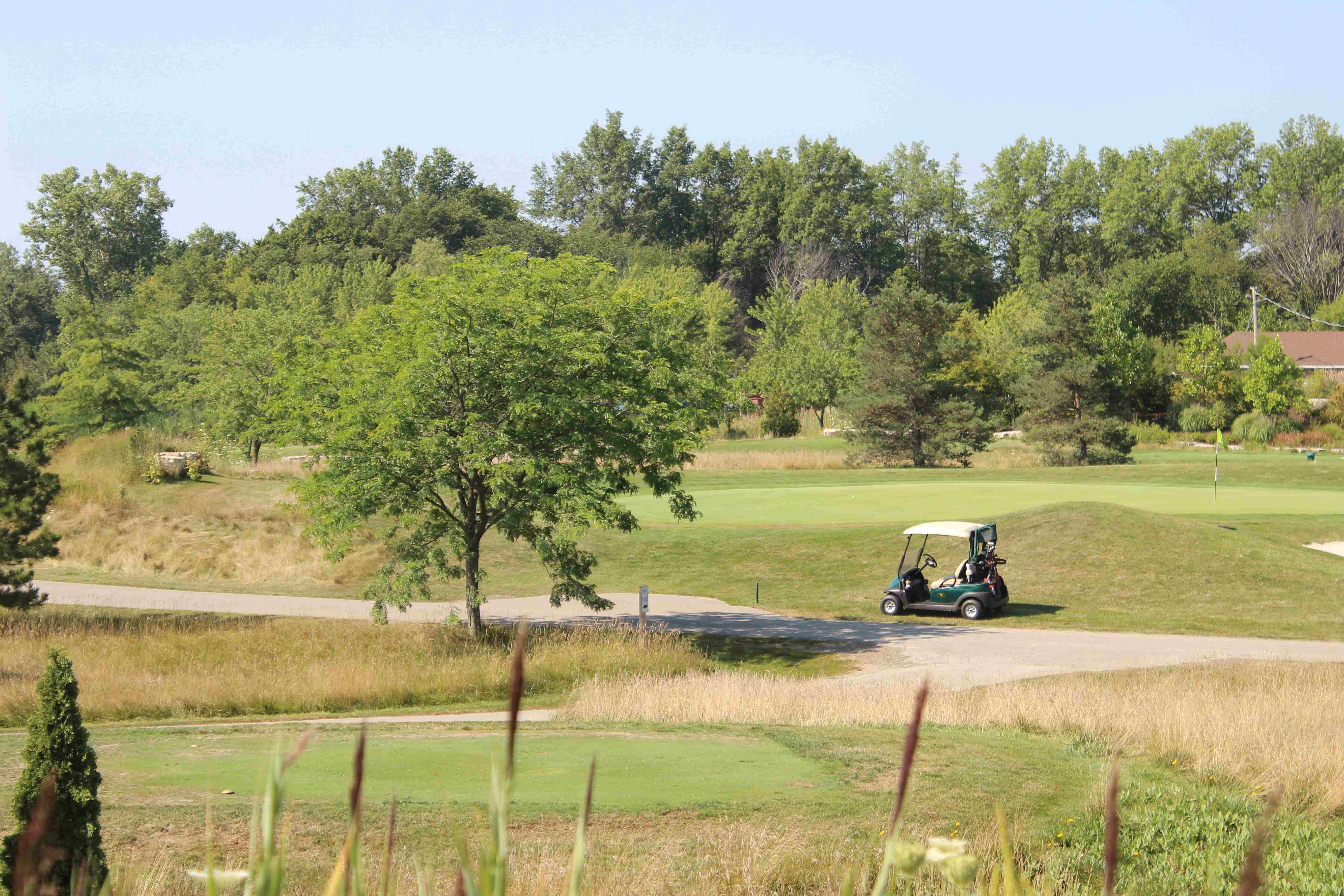 Golf cart among Sutton Creek 